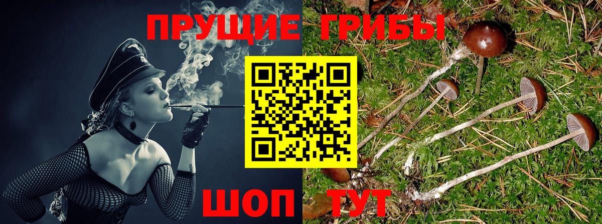 Альфа ПВП СК   Гашиш  Вход с VPN  МЕФ   Рязань  Наркошоп  Марихуана  КОКАИН 