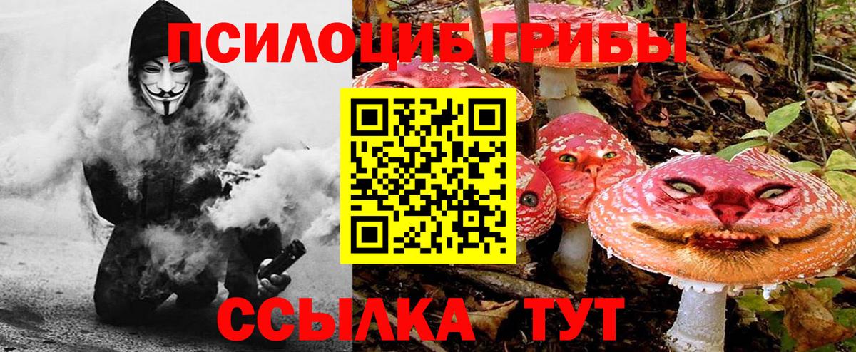 Рязань  Галлюциногенные грибы Psilocybe  даркнет сайт  Вход с VPN  Псилоцибиновые грибы Psilocybine cubensis 